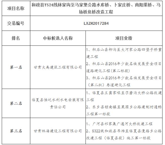 中標候選人項目業(yè)績