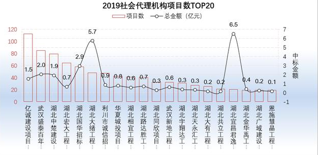 2019社會代理機(jī)構(gòu)項目數(shù)TOP20